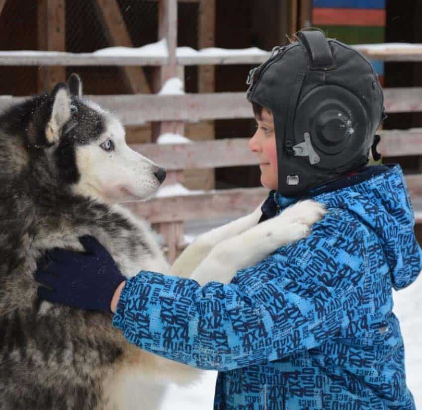 husky & boy 1 husky & boy 1