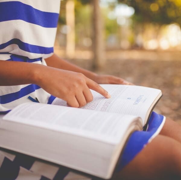 bible reading crop bible reading crop